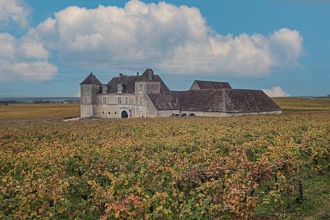 Clos Vougeot