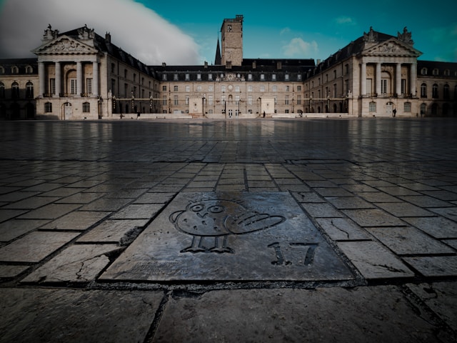 Chouette Dijon Notre Dame