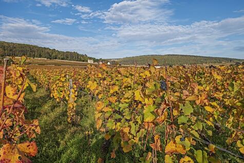 route des vins